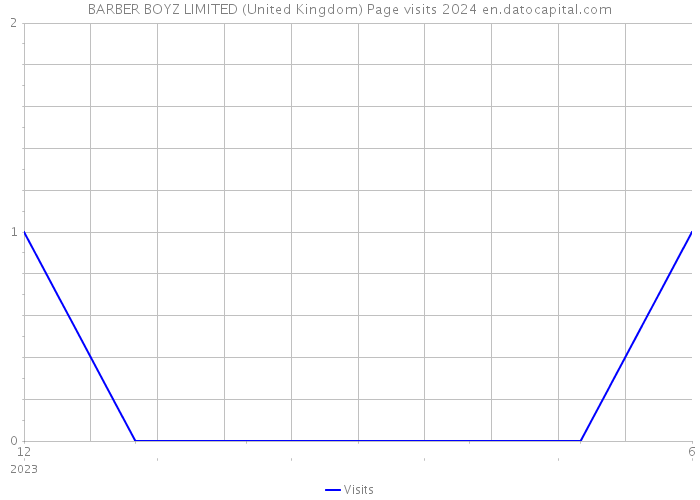 BARBER BOYZ LIMITED (United Kingdom) Page visits 2024 