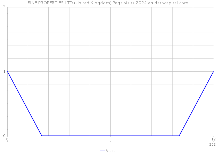 BINE PROPERTIES LTD (United Kingdom) Page visits 2024 