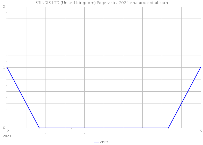 BRINDIS LTD (United Kingdom) Page visits 2024 