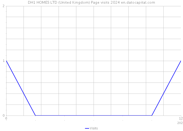DH1 HOMES LTD (United Kingdom) Page visits 2024 