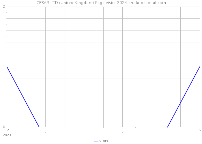 GESAR LTD (United Kingdom) Page visits 2024 