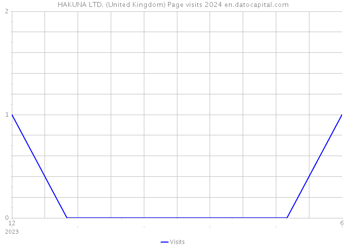 HAKUNA LTD. (United Kingdom) Page visits 2024 