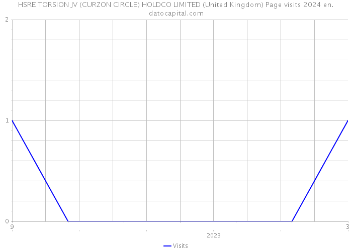 HSRE TORSION JV (CURZON CIRCLE) HOLDCO LIMITED (United Kingdom) Page visits 2024 