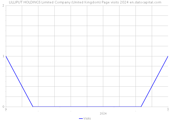 LILLIPUT HOLDINGS Limited Company (United Kingdom) Page visits 2024 