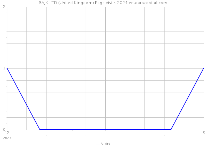 RAJK LTD (United Kingdom) Page visits 2024 
