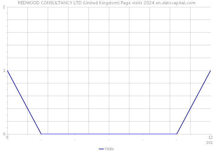 REDWOOD CONSULTANCY LTD (United Kingdom) Page visits 2024 