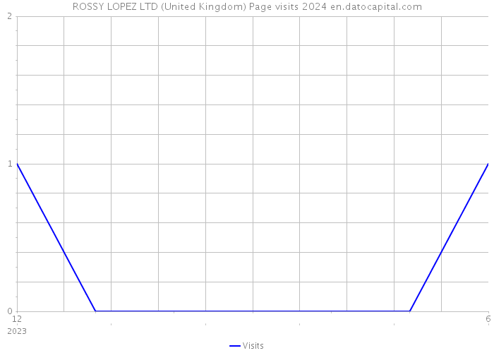 ROSSY LOPEZ LTD (United Kingdom) Page visits 2024 