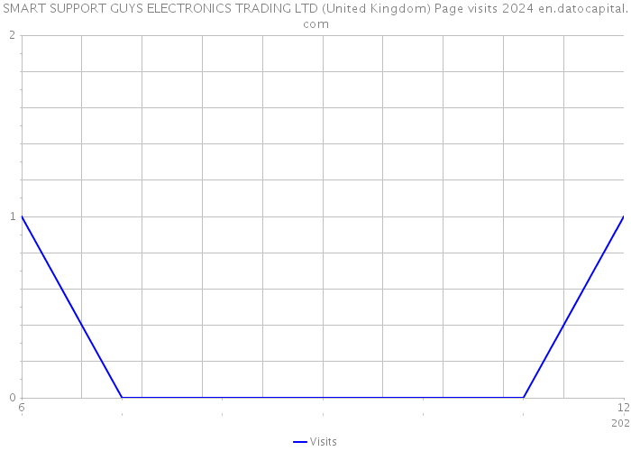 SMART SUPPORT GUYS ELECTRONICS TRADING LTD (United Kingdom) Page visits 2024 