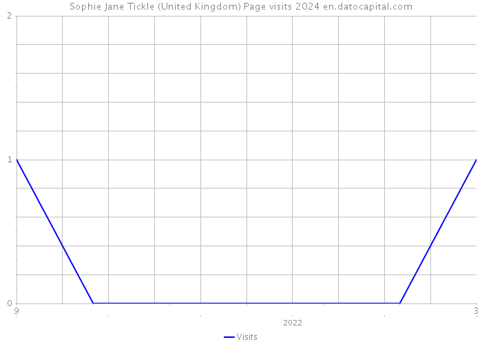 Sophie Jane Tickle (United Kingdom) Page visits 2024 