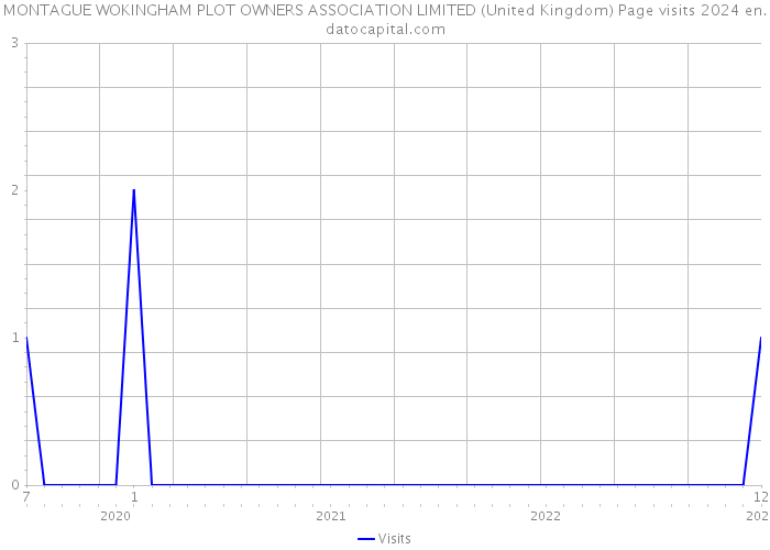 MONTAGUE WOKINGHAM PLOT OWNERS ASSOCIATION LIMITED (United Kingdom) Page visits 2024 