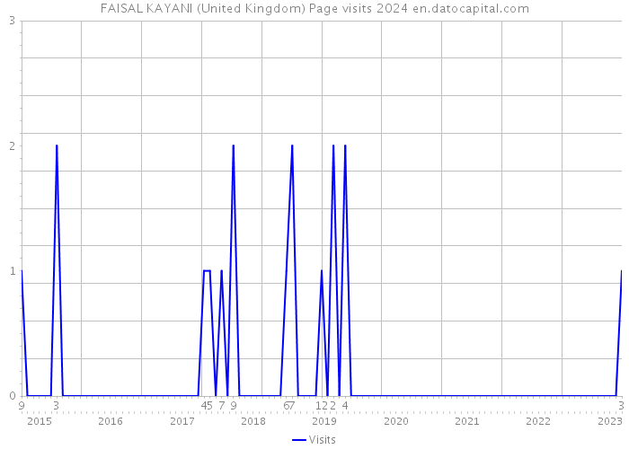 FAISAL KAYANI (United Kingdom) Page visits 2024 