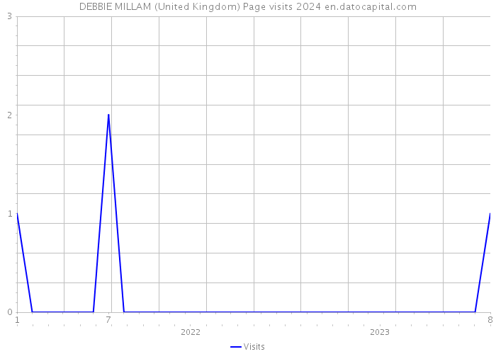 DEBBIE MILLAM (United Kingdom) Page visits 2024 