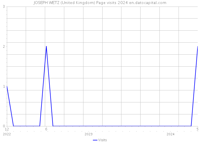 JOSEPH WETZ (United Kingdom) Page visits 2024 