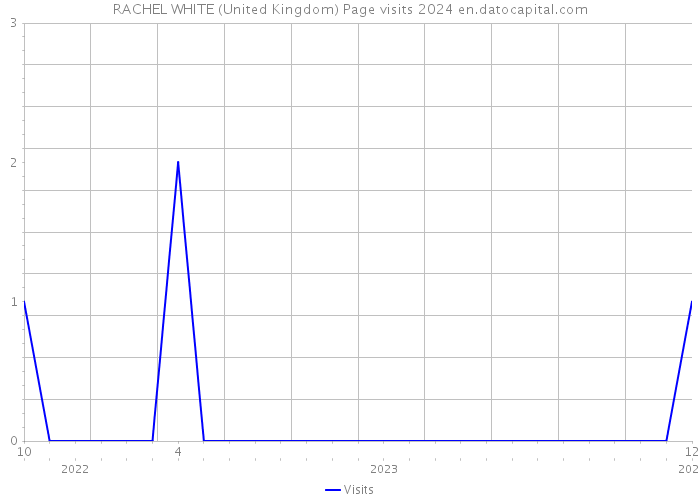 RACHEL WHITE (United Kingdom) Page visits 2024 