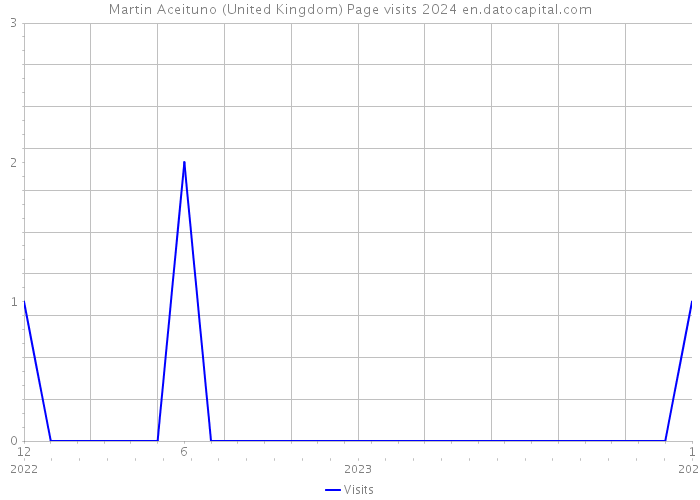 Martin Aceituno (United Kingdom) Page visits 2024 