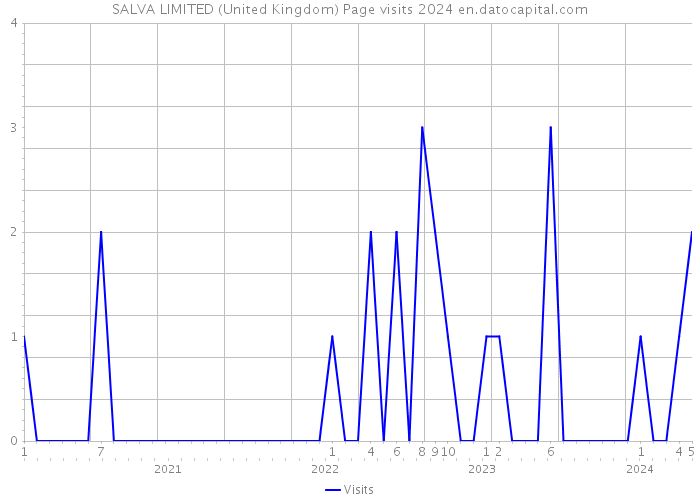 SALVA LIMITED (United Kingdom) Page visits 2024 