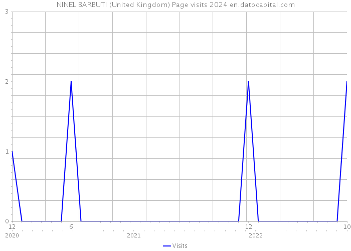 NINEL BARBUTI (United Kingdom) Page visits 2024 