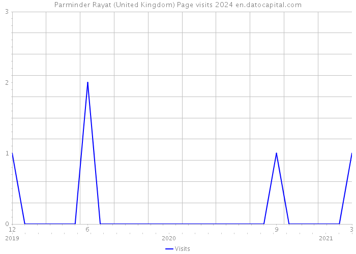 Parminder Rayat (United Kingdom) Page visits 2024 