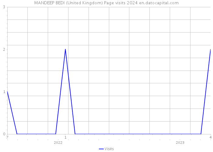 MANDEEP BEDI (United Kingdom) Page visits 2024 