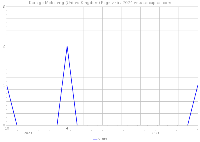 Katlego Mokaleng (United Kingdom) Page visits 2024 