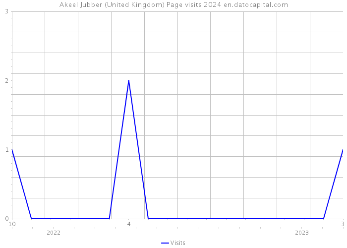 Akeel Jubber (United Kingdom) Page visits 2024 