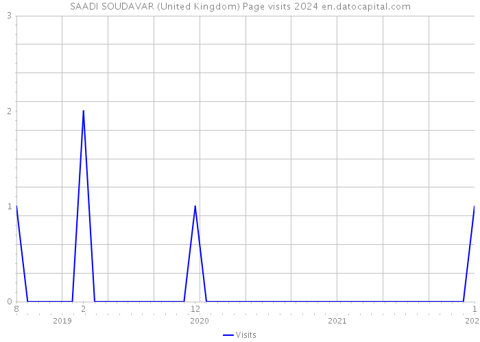 SAADI SOUDAVAR (United Kingdom) Page visits 2024 
