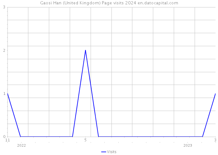 Gaosi Han (United Kingdom) Page visits 2024 