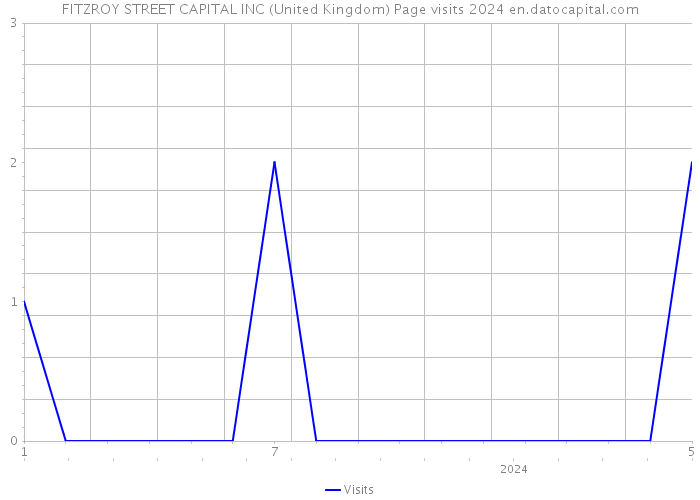 FITZROY STREET CAPITAL INC (United Kingdom) Page visits 2024 