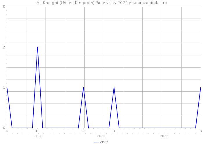 Ali Kholghi (United Kingdom) Page visits 2024 