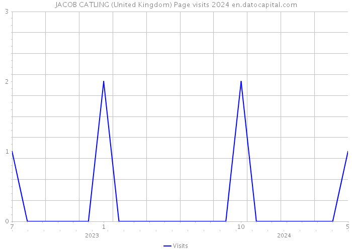 JACOB CATLING (United Kingdom) Page visits 2024 