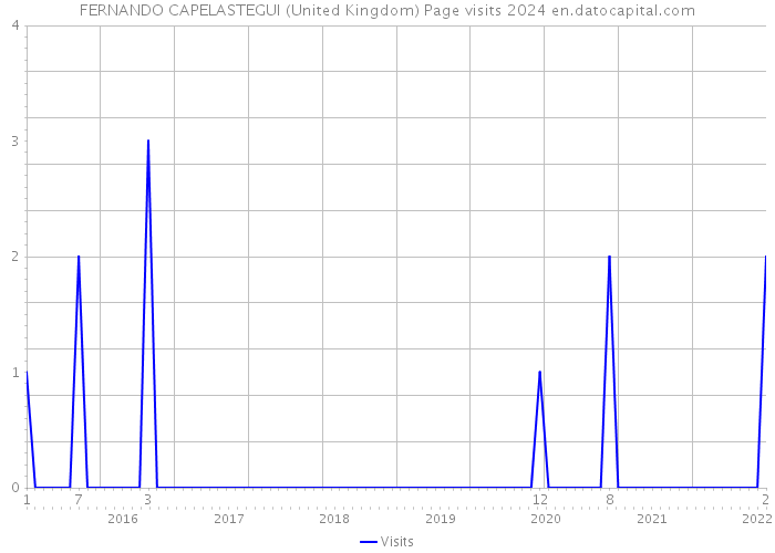 FERNANDO CAPELASTEGUI (United Kingdom) Page visits 2024 
