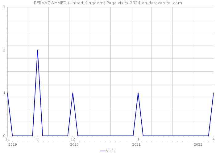 PERVAZ AHMED (United Kingdom) Page visits 2024 