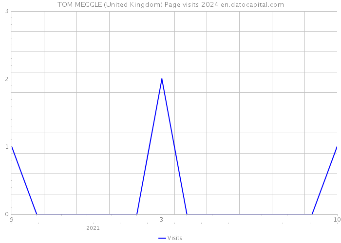 TOM MEGGLE (United Kingdom) Page visits 2024 