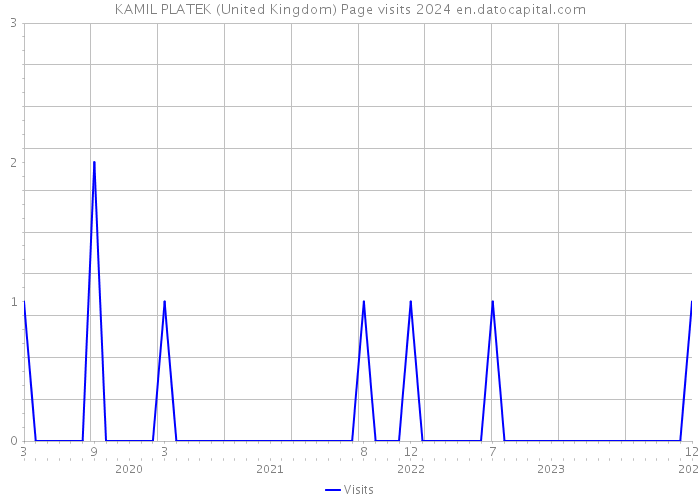KAMIL PLATEK (United Kingdom) Page visits 2024 