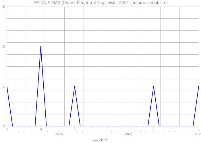 SEYDA ELMAS (United Kingdom) Page visits 2024 