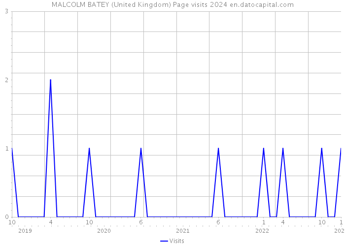 MALCOLM BATEY (United Kingdom) Page visits 2024 