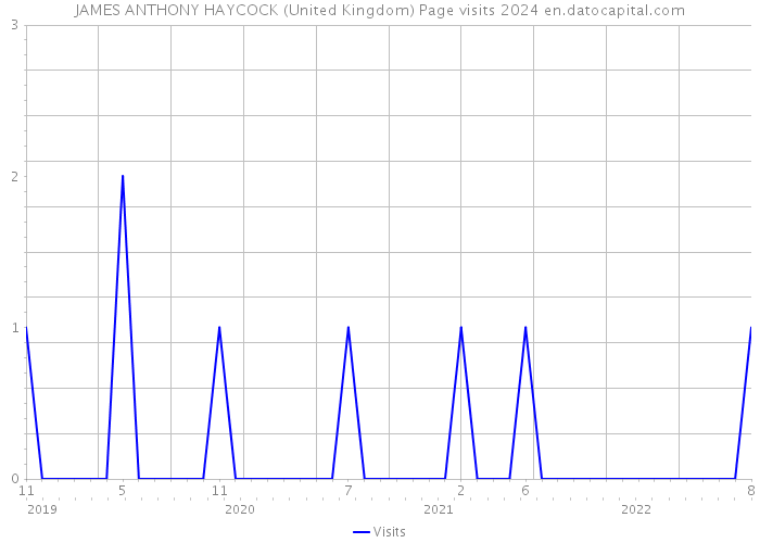 JAMES ANTHONY HAYCOCK (United Kingdom) Page visits 2024 