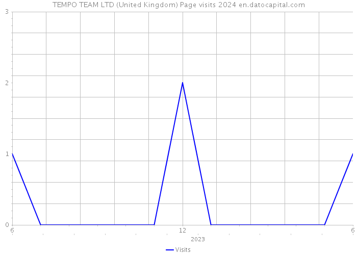 TEMPO TEAM LTD (United Kingdom) Page visits 2024 