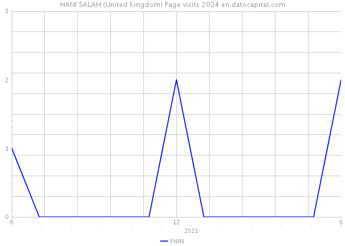 HANI SALAH (United Kingdom) Page visits 2024 