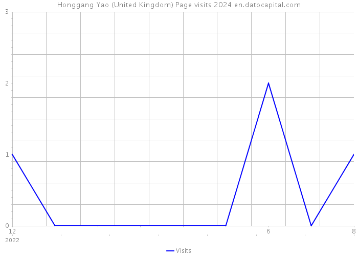 Honggang Yao (United Kingdom) Page visits 2024 