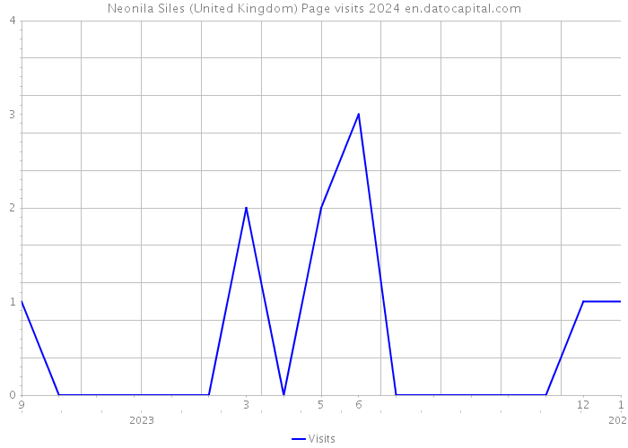 Neonila Siles (United Kingdom) Page visits 2024 