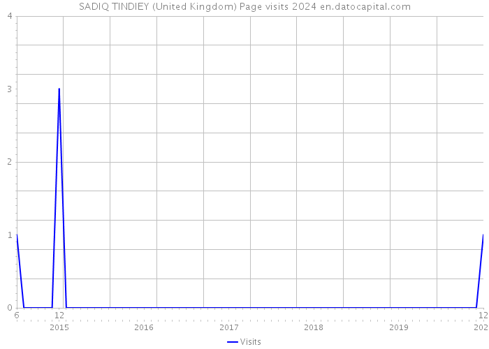 SADIQ TINDIEY (United Kingdom) Page visits 2024 