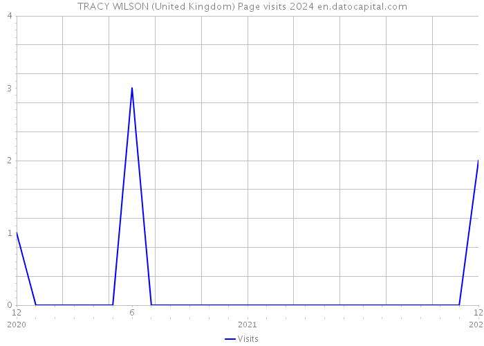 TRACY WILSON (United Kingdom) Page visits 2024 