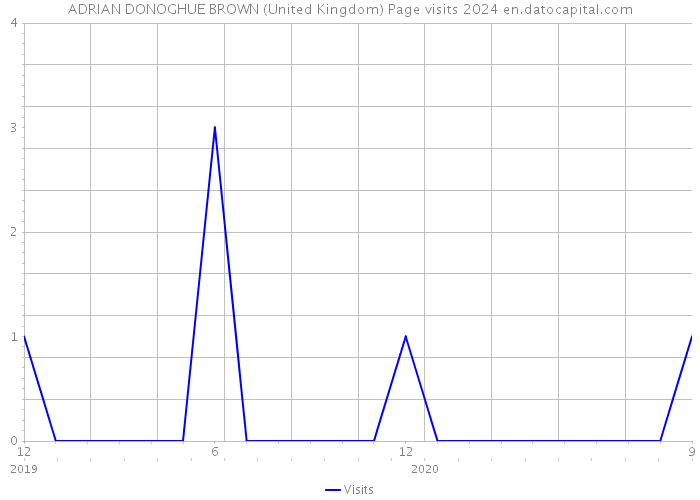 ADRIAN DONOGHUE BROWN (United Kingdom) Page visits 2024 