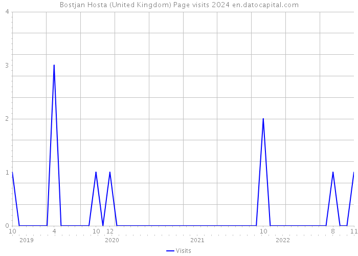 Bostjan Hosta (United Kingdom) Page visits 2024 