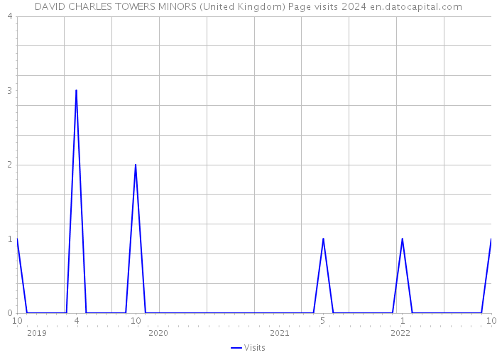 DAVID CHARLES TOWERS MINORS (United Kingdom) Page visits 2024 