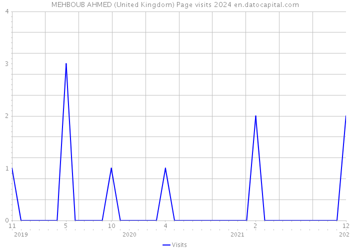 MEHBOUB AHMED (United Kingdom) Page visits 2024 