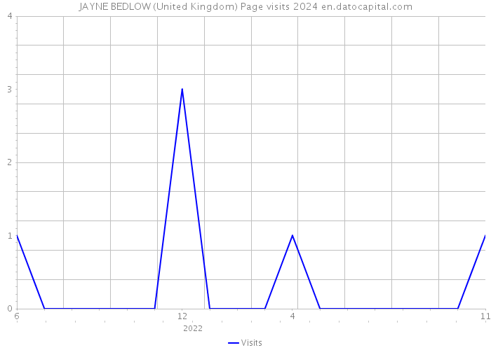 JAYNE BEDLOW (United Kingdom) Page visits 2024 