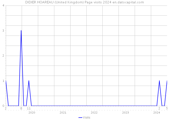 DIDIER HOAREAU (United Kingdom) Page visits 2024 