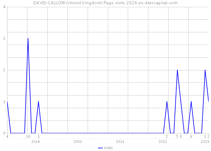 DAVID CALLOW (United Kingdom) Page visits 2024 